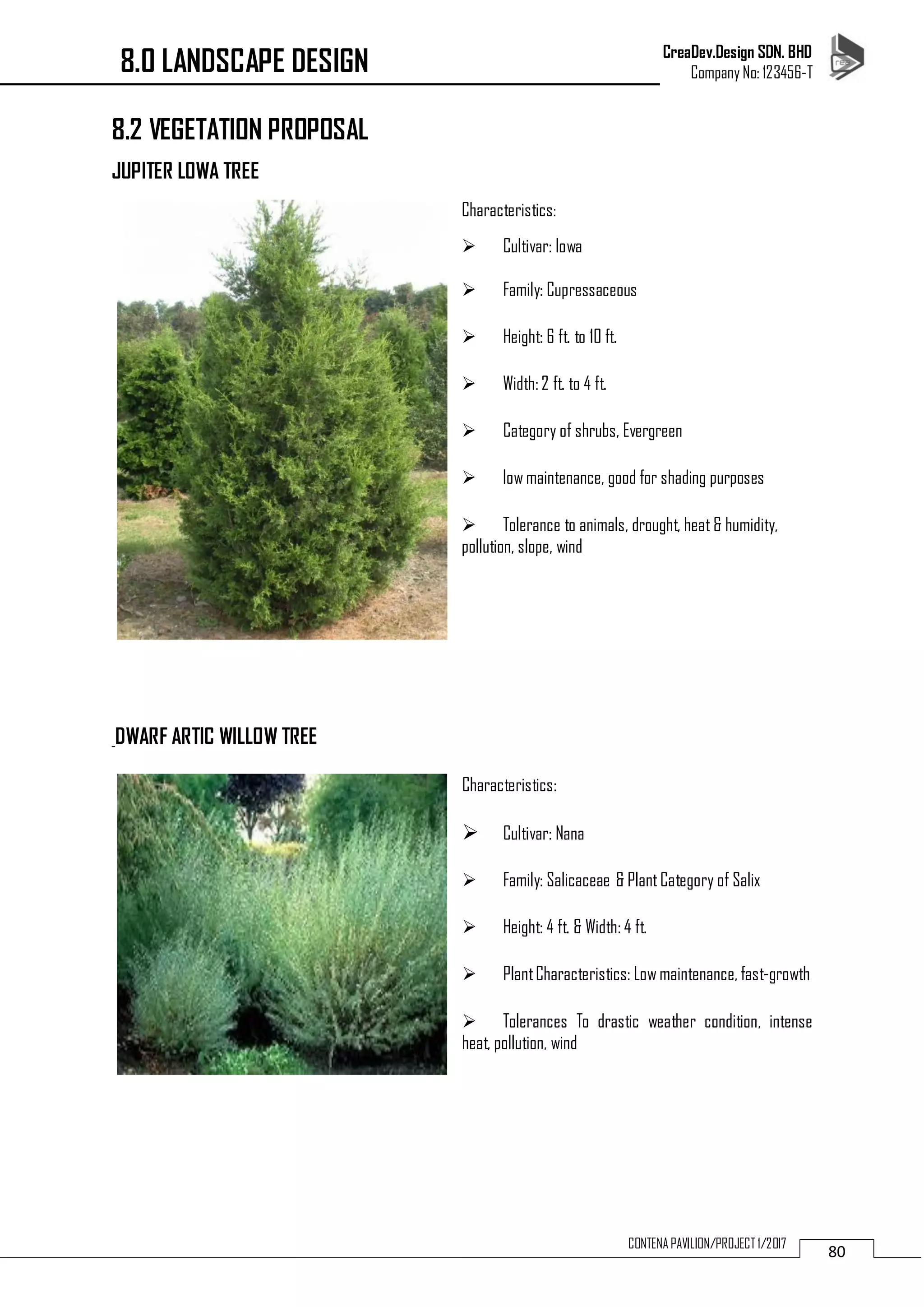 CreaDev.Design SDN. BHD
Company No: 123456-T
80CONTENA PAVILION/PROJECT 1/2017
8.2 VEGETATION PROPOSAL
JUPITER LOWA TREE
Characteristics:
 Cultivar: Iowa
 Family: Cupressaceous
 Height: 6 ft. to 10 ft.
 Width: 2 ft. to 4 ft.
 Category of shrubs, Evergreen
 low maintenance, good for shading purposes
 Tolerance to animals, drought, heat & humidity,
pollution, slope, wind
DWARF ARTIC WILLOW TREE
Characteristics:
 Cultivar: Nana
 Family: Salicaceae & PlantCategory of Salix
 Height: 4 ft. & Width: 4 ft.
 PlantCharacteristics: Low maintenance, fast-growth
 Tolerances To drastic weather condition, intense
heat, pollution, wind
8.0 LANDSCAPE DESIGN
 