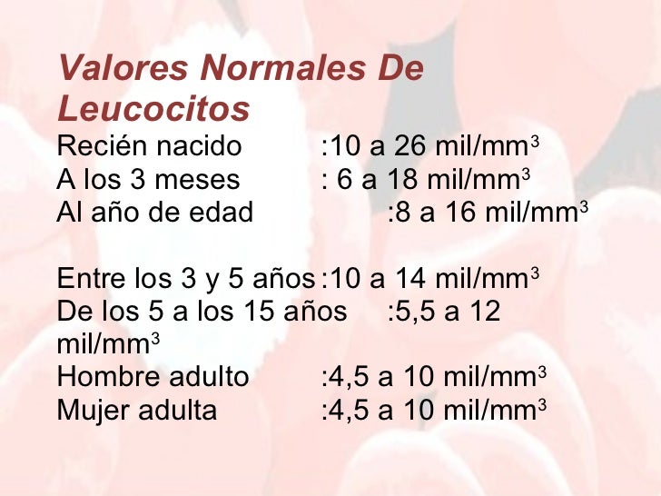 1. fisiología de la serie blanca