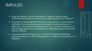 1 fisiologia-cardiovascular-y-anestesia-160218021408 | PDF