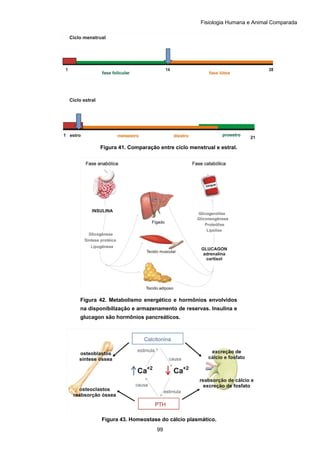 Fisiologia Humana e Animal Comparada
99
Figura 43. Homeostase do cálcio plasmático.
Figura 41. Comparação entre ciclo menstrual e estral.
Figura 42. Metabolismo energético e hormônios envolvidos
na disponibilização e armazenamento de reservas. Insulina e
glucagon são hormônios pancreáticos.
 