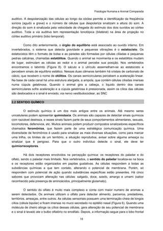 Fisiologia Humana e Animal Comparada
18
auditivo. A despolarização das células ao longo da cóclea permite a identificação da freqüência
sonora (agudo a grave) e o número de células que despolariza sinalizam a altura do som. A
direção do som é sinalizada pela velocidade de chegada do estímulo dos dois ouvidos ao córtex
auditivo. Toda a via auditiva tem representação tonotópica (bilateral) na área de projeção no
córtex auditivo primário (lobo temporal).
Como dito anteriormente, o órgão do equilíbrio está associado ao ouvido interno. Em
invertebrados, o sistema que detecta gravidade e pequenas vibrações é o estatocisto. Os
estatocistos têm o formato de bolsa e as paredes são formadas por células ciliadas e pequenas
pedras calcárias, chamadas estatólitos. Quando o animal se movimenta e os estatólitos mudam
de lugar, estimulam as células ao redor e o animal percebe sua posição. Nos vertebrados
encontramos o labirinto (Figura 8). O sáculo e o utrículo assemelham-se ao estatocisto e
percebem sinais de equilíbrio estático. Nessas duas câmaras também há cristais de carbonato de
cálcio, que recebem o nome de otólitos. Os canais semicirculares percebem a aceleração linear.
Na base de cada canal há uma estrutura alargada, a ampola, que contém células ciliadas imersas
numa cúpula gelatinosa. Quando o animal gira a cabeça, o liquido dentro dos canais
semicirculares sofre aceleração e a cúpula gelatinosa é pressionada, assim os cílios das células
são deslocados e o sinal é enviado, via nervo vestibulococlear, ao SNC
2.2 SENTIDO QUÍMICO
O estímulo químico é um dos mais antigos entre os animais. Até mesmo seres
unicelulares podem apresentar quimiotaxia. Os animais são capazes de detectar sinais químicos
com razoável destreza, e esses sinais fazem parte de seus comportamentos alimentares, sexuais,
locomotores, defensivos, etc. Muitos animais podem produzir compostos sinalizadores específicos
chamados feromônios, que fazem parte de uma estratégica comunicação química. Uma
diversidade de feromônios é usado para sinalizar as mais diversas situações, como para marcar
uma trilha, os limites de um território, a situação reprodutiva, avisar sobre alguma ameaça ou
sinalizar que é perigoso. Para que o outro indivíduo detecte o sinal, ele deve ter
quimiorreceptores.
Há dois receptores envolvidos na percepção química: os receptores do paladar e do
olfato, sendo o paladar mais limitado. Nos vertebrados, o sentido do paladar localiza-se na boca
e os receptores estão organizados em papilas gustativas. As células respondem a todas as
substâncias químicas a que tem contato, alterando o potencial de membrana. Porém, só
respondem com potencial de ação quando substâncias específicas estão presentes. Há cinco
sabores que provocam alteração nas células: salgado, doce, azedo, amargo e umami (sabor
reconhecido pela presença de aminoácidos, principalmente glutamato).
O sentido do olfato é muito mais complexo e conta com maior numero de aromas a
serem detectados. Os animais utilizam o olfato para detectar alimento, parceiros, predadores,
territórios, ameaças, entre outros. As células sensoriais possuem uma terminação cheia de longos
cílios (célula bipolar) e ficam imersas no muco secretado no epitélio nasal (Figura 6). Quando uma
molécula de cheiro atinge os cílios dessas células, gera alteração de seu potencial de membrana
e o sinal é levado ate o bulbo olfatório no encéfalo. Depois, a informação segue para o lobo frontal
 