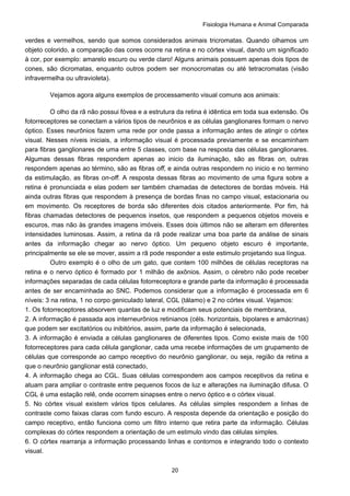 Fisiologia Humana e Animal Comparada
20
verdes e vermelhos, sendo que somos considerados animais tricromatas. Quando olhamos um
objeto colorido, a comparação das cores ocorre na retina e no córtex visual, dando um significado
à cor, por exemplo: amarelo escuro ou verde claro! Alguns animais possuem apenas dois tipos de
cones, são dicromatas, enquanto outros podem ser monocromatas ou até tetracromatas (visão
infravermelha ou ultravioleta).
Vejamos agora alguns exemplos de processamento visual comuns aos animais:
O olho da rã não possui fóvea e a estrutura da retina é idêntica em toda sua extensão. Os
fotorreceptores se conectam a vários tipos de neurônios e as células ganglionares formam o nervo
óptico. Esses neurônios fazem uma rede por onde passa a informação antes de atingir o córtex
visual. Nesses níveis iniciais, a informação visual é processada previamente e se encaminham
para fibras ganglionares de uma entre 5 classes, com base na resposta das células ganglionares.
Algumas dessas fibras respondem apenas ao inicio da iluminação, são as fibras on, outras
respondem apenas ao término, são as fibras off, e ainda outras respondem no inicio e no termino
da estimulação, as fibras on-off. A resposta dessas fibras ao movimento de uma figura sobre a
retina é pronunciada e elas podem ser também chamadas de detectores de bordas móveis. Há
ainda outras fibras que respondem à presença de bordas finas no campo visual, estacionaria ou
em movimento. Os receptores de borda são diferentes dois citados anteriormente. Por fim, há
fibras chamadas detectores de pequenos insetos, que respondem a pequenos objetos moveis e
escuros, mas não às grandes imagens imóveis. Esses dois últimos não se alteram em diferentes
intensidades luminosas. Assim, a retina da rã pode realizar uma boa parte da análise de sinais
antes da informação chegar ao nervo óptico. Um pequeno objeto escuro é importante,
principalmente se ele se mover, assim a rã pode responder a este estimulo projetando sua língua.
Outro exemplo é o olho de um gato, que contem 100 milhões de células receptoras na
retina e o nervo óptico é formado por 1 milhão de axônios. Assim, o cérebro não pode receber
informações separadas de cada células fotorreceptora e grande parte da informação é processada
antes de ser encaminhada ao SNC. Podemos considerar que a informação é processada em 6
níveis: 3 na retina, 1 no corpo geniculado lateral, CGL (tálamo) e 2 no córtex visual. Vejamos:
1. Os fotorreceptores absorvem quantas de luz e modificam seus potenciais de membrana,
2. A informação é passada aos interneurônios retinianos (céls. horizontais, bipolares e amácrinas)
que podem ser excitatórios ou inibitórios, assim, parte da informação é selecionada,
3. A informação é enviada a células ganglionares de diferentes tipos. Como existe mais de 100
fotorreceptores para cada célula ganglionar, cada uma recebe informações de um grupamento de
células que corresponde ao campo receptivo do neurônio ganglionar, ou seja, região da retina a
que o neurônio ganglionar está conectado,
4. A informação chega ao CGL. Suas células correspondem aos campos receptivos da retina e
atuam para ampliar o contraste entre pequenos focos de luz e alterações na iluminação difusa. O
CGL é uma estação relê, onde ocorrem sinapses entre o nervo óptico e o córtex visual.
5. No córtex visual existem vários tipos celulares. As células simples respondem a linhas de
contraste como faixas claras com fundo escuro. A resposta depende da orientação e posição do
campo receptivo, então funciona como um filtro interno que retira parte da informação. Células
complexas do córtex respondem a orientação de um estimulo vindo das células simples.
6. O córtex rearranja a informação processando linhas e contornos e integrando todo o contexto
visual.
 