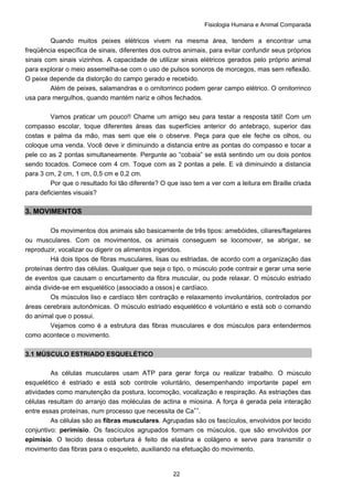 Fisiologia Humana e Animal Comparada
22
Quando muitos peixes elétricos vivem na mesma área, tendem a encontrar uma
freqüência específica de sinais, diferentes dos outros animais, para evitar confundir seus próprios
sinais com sinais vizinhos. A capacidade de utilizar sinais elétricos gerados pelo próprio animal
para explorar o meio assemelha-se com o uso de pulsos sonoros de morcegos, mas sem reflexão.
O peixe depende da distorção do campo gerado e recebido.
Além de peixes, salamandras e o ornitorrinco podem gerar campo elétrico. O ornitorrinco
usa para mergulhos, quando mantém nariz e olhos fechados.
Vamos praticar um pouco!! Chame um amigo seu para testar a resposta tátil! Com um
compasso escolar, toque diferentes áreas das superfícies anterior do antebraço, superior das
costas e palma da mão, mas sem que ele o observe. Peça para que ele feche os olhos, ou
coloque uma venda. Você deve ir diminuindo a distancia entre as pontas do compasso e tocar a
pele co as 2 pontas simultaneamente. Pergunte ao “cobaia” se está sentindo um ou dois pontos
sendo tocados. Comece com 4 cm. Toque com as 2 pontas a pele. E vá diminuindo a distancia
para 3 cm, 2 cm, 1 cm, 0,5 cm e 0,2 cm.
Por que o resultado foi tão diferente? O que isso tem a ver com a leitura em Braille criada
para deficientes visuais?
3. MOVIMENTOS
Os movimentos dos animais são basicamente de três tipos: amebóides, ciliares/flagelares
ou musculares. Com os movimentos, os animais conseguem se locomover, se abrigar, se
reproduzir, vocalizar ou digerir os alimentos ingeridos.
Há dois tipos de fibras musculares, lisas ou estriadas, de acordo com a organização das
proteínas dentro das células. Qualquer que seja o tipo, o músculo pode contrair e gerar uma serie
de eventos que causam o encurtamento da fibra muscular, ou pode relaxar. O músculo estriado
ainda divide-se em esquelético (associado a ossos) e cardíaco.
Os músculos liso e cardíaco têm contração e relaxamento involuntários, controlados por
áreas cerebrais autonômicas. O músculo estriado esquelético é voluntário e está sob o comando
do animal que o possui.
Vejamos como é a estrutura das fibras musculares e dos músculos para entendermos
como acontece o movimento.
3.1 MÚSCULO ESTRIADO ESQUELÉTICO
As células musculares usam ATP para gerar força ou realizar trabalho. O músculo
esquelético é estriado e está sob controle voluntário, desempenhando importante papel em
atividades como manutenção da postura, locomoção, vocalização e respiração. As estriações das
células resultam do arranjo das moléculas de actina e miosina. A força é gerada pela interação
entre essas proteínas, num processo que necessita de Ca++
.
As células são as fibras musculares. Agrupadas são os fascículos, envolvidos por tecido
conjuntivo: perimísio. Os fascículos agrupados formam os músculos, que são envolvidos por
epimísio. O tecido dessa cobertura é feito de elastina e colágeno e serve para transmitir o
movimento das fibras para o esqueleto, auxiliando na efetuação do movimento.
 