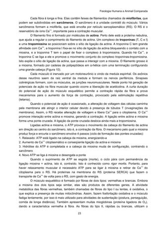 Fisiologia Humana e Animal Comparada
23
Cada fibra é longa e fina. Elas contêm feixes de filamentos chamados de miofibrilas, que
podem ser subdivididas em sarcômeros. O sarcômero é a unidade contrátil do músculo. Vários
sarcômeros formam a miofibrila, que está envolta por retículo sarcoplasmático (RS). O RS é o
reservatório de íons Ca++
, importante para a contração muscular.
O filamento fino é formado por moléculas de actina. Perto dele está a proteína nebulina,
que ajuda a regular o comprimento do filamento de actina. Um complexo de troponinas (T, C e I)
e uma tropomiosina se posicionam sobre o sítio de ligação da actina. A troponina C tem grande
afinidade com Ca++
, a troponina I fixa-se no sítio de ligação da actina bloqueando o contato com a
miosina, e a troponina T tem o papel de fixar o complexo à tropomiosina. Quando há Ca++
, a
troponina C se liga a ele e promove o movimento conjunto do complexo troponinas-tropomiosina.
Isto expõe o sítio de ligação da actina, que passa a interagir com a miosina. O filamento grosso é
a miosina, formado por cadeias de polipeptídeos em α-hélice com uma terminação configurando
uma grande cabeça (Figura 10).
Cada músculo é inervado por um motoneurônio α vindo da medula espinhal. Os axônios
desse neurônio saem da raiz ventral da medula e formam os nervos periféricos. Sinapses
colinérgicas formam, com os músculos, as junções neuromusculares. Neste ponto há geração de
potenciais de ação na fibra muscular quando ocorre a liberação de acetilcolina. A curta duração
do potencial de ação do músculo esquelético permite a contração rápida da fibra e prove
mecanismos para o aumento da força de contração, provocado pela estimulação repetitiva
(tetania).
Quando o potencial de ação é ocasionado, a alteração de voltagem das células caminha
pela membrana até atingir o interior celular devido à presença de túbulos T (invaginações da
membrana). Assim, o RS recebe alteração de voltagem e libera Ca++
para o citoplasma. O Ca++
promove interação entre actina e miosina, gerando a contração. A ligação entre actina e miosina
forma uma ponte cruzada. A ligação da ponte cruzada desloca ainda mais a tropomiosina.
Ligadas actina e miosina, o ATP provoca o movimento da cabeça do filamento de actina
em direção ao centro do sarcômero, isto é, a contração da fibra. O mecanismo pelo qual a miosina
produz força e encurta o sarcômero envolve 4 passos (ciclo de formação das pontes cruzadas):
1. Relaxado: ATP está ligado na cabeça da miosina, energizando-a
2. Aumento de Ca++
citoplasmático e conseqüente ligação da actina e miosina
3. Hidrólise do ATP é completada e a cabeça da miosina muda de configuração, contraindo o
sarcômero
4. Novo ATP se liga à miosina e desengata a ponte
Quando o suprimento de ATP se esgota (morte), o ciclo pára com permanência da
ligação miosina + actina, isto é, contraído. Isto é conhecido como rigor mortis. Portanto, para
haver relaxamento muscular é necessário ATP para se ligar à miosina e retirar de Ca++
do
citoplasma para o RS. Há proteínas na membrana do RS (proteína SERCA) que fazem o
transporte de Ca++
de volta para o RS, com gasto de energia.
O músculo esquelético é formado por fibras de dois tipos: vermelhas e brancas. Embora
a miosina dos dois tipos seja similar, elas são produtos de diferentes genes. A atividade
metabólica das fibras vermelhas, também chamadas de fibras do tipo I ou lentas, é oxidativa, o
que explica a presença de muitas mitocôndrias. Assim, fazem fosforilação oxidativa e o músculo
fadiga lentamente, por isso é mais utilizado para atividades de sustentação (postura, perseguição,
corrida de longa distância). Também apresentam muitas mioglobinas (proteína ligadora de O2),
dando a característica vermelha à fibra. As fibras do tipo II, rápidas ou brancas, utilizam o
 