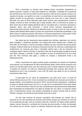 Fisiologia Humana e Animal Comparada
25
Para a locomoção, os animais usam variados grupos musculares, dependendo do
objetivo locomotor. Quando um peixe está nadando em velocidade, a alteração de comprimento
dos sarcômeros em torno de sua espinha muda muito pouco. Mas se ele se assusta e produz uma
resposta de escape, sua espinha se curva e os sarcômeros de cada lado do corpo apresentam
padrão contrário de encurtamento e estiramento, fazendo uma curva com o corpo. Músculos
diferentes com tipos de fibras diferentes estão ativos durante cada comportamento. Durante a
natação, somente as fibras vermelhas (tipo I) estão ativadas. Mas no movimento de escape, as
fibras ativas são as fibras rápidas glicolíticas (tipo II), recrutadas para o movimento acentuado e
repentino. Assim, para cada movimento, o animal recruta músculos especializados em
determinada tarefa particular. Músculos de diferentes locais ao longo do eixo do corpo recebem
padrões estimulatórios diferenciados e mudam seu comprimento em diferentes quantidades, o que
afeta a força e a potência produzida. Além disso, os músculos posteriores do corpo podem mudar
de comprimento além da capacidade dos músculos anteriores durante a natação.
Nos saltos das rãs, observamos duas posições bem definidas: agachada, com nenhum
gasto energético, e totalmente estendida, com energia total sendo utilizada para o trabalho em
cada salto. As rãs utilizam o máximo de energia e trabalho que seus músculos das pernas podem
conseguir. Notamos então que os sistemas musculares evoluíram de modo que a organização dos
miofilamentos nos músculos gera força e velocidade máxima para o tipo de movimento que
conseguem operar. Nesses músculos, é importante notar que há grande gasto energético entre as
duas fases, relaxada e contraída. O gasto energético se deve ao bombeamento de íons cálcio
pelo RS. Para minimizar este gasto, a cinética de ativação e relaxamento tende a ser
relativamente lenta.
Porém, encontramos em alguns animais grupos musculares que operam em freqüência
muito elevada, com bombeamento de cálcio extremamente rápido. Esses animais produzem som
quando os músculos geram força, que vibra estruturas como a bexiga natatória do peixe-sapo ou
o chocalho da cascavel. Os ciclos de relaxamento-contração dos músculos deve ocorrer na
freqüência em que o som é produzido, o que é até 100 vezes mais rápido do que os músculos
locomotores podem fazer.
O peixe-sapo faz um “canto de acasalamento” que pode durar horas, no intuito de
chamar fêmeas para seu ninho. O som é produzido por contrações dos músculos que envolvem a
bexiga natatória, numa freqüência de mais de 100 Hz. Só para termos comparativos, a freqüência
de ciclos na natação desse peixe é de 2 Hz, e no caso de um comportamento furtivo pode chegar
a 10 Hz. Embora tenhamos a idéia de que esse comportamento seja extremamente dispendioso,
pela necessidade de bombeamento com gasto de energia dos íons cálcio, os músculos usados
para o comportamento somam uma pequena quantidade da massa muscular total do animal.
Portanto, conseguir uma boa fêmea para acasalar ainda vale a pena!
Um tipo mais incomum de músculo esquelético está presente em insetos, são os
músculos do vôo. São chamados de músculos assincrônicos porque não contraem em sincronia
com os potenciais de ação, como os músculos vistos até o momento. Em alguns insetos (abelhas,
vespas, moscas, besouros), a contração dos músculos das asas excede o numero de descargas
dos axônios que os inervam. Apesar da altíssima freqüência para gerar a potencia mecânica
 