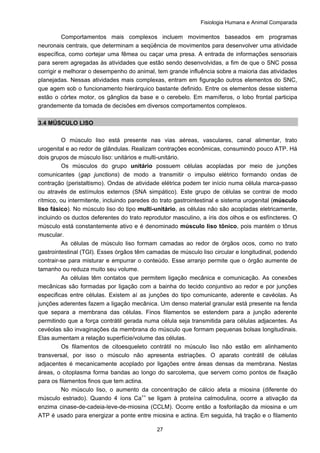 Fisiologia Humana e Animal Comparada
27
Comportamentos mais complexos incluem movimentos baseados em programas
neuronais centrais, que determinam a seqüência de movimentos para desenvolver uma atividade
específica, como cortejar uma fêmea ou caçar uma presa. A entrada de informações sensoriais
para serem agregadas às atividades que estão sendo desenvolvidas, a fim de que o SNC possa
corrigir e melhorar o desempenho do animal, tem grande influência sobre a maioria das atividades
planejadas. Nessas atividades mais complexas, entram em figuração outros elementos do SNC,
que agem sob o funcionamento hierárquico bastante definido. Entre os elementos desse sistema
estão o córtex motor, os gânglios da base e o cerebelo. Em mamíferos, o lobo frontal participa
grandemente da tomada de decisões em diversos comportamentos complexos.
3.4 MÚSCULO LISO
O músculo liso está presente nas vias aéreas, vasculares, canal alimentar, trato
urogenital e ao redor de glândulas. Realizam contrações econômicas, consumindo pouco ATP. Há
dois grupos de músculo liso: unitários e multi-unitário.
Os músculos do grupo unitário possuem células acopladas por meio de junções
comunicantes (gap junctions) de modo a transmitir o impulso elétrico formando ondas de
contração (peristaltismo). Ondas de atividade elétrica podem ter início numa célula marca-passo
ou através de estímulos externos (SNA simpático). Este grupo de células se contrai de modo
rítmico, ou intermitente, incluindo paredes do trato gastrointestinal e sistema urogenital (músculo
liso fásico). No músculo liso do tipo multi-unitário, as células não são acopladas eletricamente,
incluindo os ductos deferentes do trato reprodutor masculino, a íris dos olhos e os esfíncteres. O
músculo está constantemente ativo e é denominado músculo liso tônico, pois mantém o tônus
muscular.
As células de músculo liso formam camadas ao redor de órgãos ocos, como no trato
gastrointestinal (TGI). Esses órgãos têm camadas de músculo liso circular e longitudinal, podendo
contrair-se para misturar e empurrar o conteúdo. Esse arranjo permite que o órgão aumente de
tamanho ou reduza muito seu volume.
As células têm contatos que permitem ligação mecânica e comunicação. As conexões
mecânicas são formadas por ligação com a bainha do tecido conjuntivo ao redor e por junções
especificas entre células. Existem aí as junções do tipo comunicante, aderente e cavéolas. As
junções aderentes fazem a ligação mecânica. Um denso material granular está presente na fenda
que separa a membrana das células. Finos filamentos se estendem para a junção aderente
permitindo que a força contrátil gerada numa célula seja transmitida para células adjacentes. As
cevéolas são invaginações da membrana do músculo que formam pequenas bolsas longitudinais.
Elas aumentam a relação superfície/volume das células.
Os filamentos de citoesqueleto contrátil no músculo liso não estão em alinhamento
transversal, por isso o músculo não apresenta estriações. O aparato contrátil de células
adjacentes é mecanicamente acoplado por ligações entre áreas densas da membrana. Nestas
áreas, o citoplasma forma bandas ao longo do sarcolema, que servem como pontos de fixação
para os filamentos finos que tem actina.
No músculo liso, o aumento da concentração de cálcio afeta a miosina (diferente do
músculo estriado). Quando 4 íons Ca++
se ligam à proteína calmodulina, ocorre a ativação da
enzima cinase-de-cadeia-leve-de-miosina (CCLM). Ocorre então a fosforilação da miosina e um
ATP é usado para energizar a ponte entre miosina e actina. Em seguida, há tração e o filamento
 
