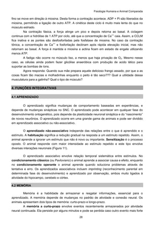Fisiologia Humana e Animal Comparada
28
fino se move em direção à miosina. Desta forma a contração acontece. ADP + Pi são liberados da
miosina, permitindo a ligação de outro ATP. A cinética deste ciclo é muito mais lenta do que no
músculo estriado.
Na contração fásica, a força atinge um pico e depois retorna ao basal. A ciclagem
continua com a hidrólise de 1 ATP por ciclo, até que a concentração de Ca++
caia. Assim, a CCLM
fica inativa e as pontes são desfosforiladas pela fosfatase de miosina. No caso da contração
tônica, a concentração de Ca++
e fosforilação declinam após rápida elevação inicial, mas não
retornam ao basal. A força é mantida e miosina e actina ficam em estado de engate utilizando
menos ATP.
A fadiga não ocorre no músculo liso, a menos que haja privação de O2. Mesmo nesse
caso, as células ainda podem fazer glicólise anaeróbica com produção de acido lático para
suportar as bombas de íons.
Agora responda: Quando sua mãe prepara aquele delicioso frango assado, por que a as
coxas ficam tão macias e molhadinhas enquanto o peito é tão seco??? Qual a utilidade dessa
musculatura para a galinha? Qual o tipo de músculo?
4. FUNÇÕES INTEGRATIVAS
4.1 APRENDIZADO
O aprendizado significa mudanças de comportamento baseadas em experiências, e
depende de mudanças sinápticas no SNC. O aprendizado pode acontecer em qualquer fase do
desenvolvimento ontogenético, pois depende da plasticidade neuronal sináptica e do “nascimento”
de novos neurônios. O aprendizado ocorre em uma grande gama de animais e pode ser dividido
em aprendizado associativo ou não-associativo.
O aprendizado não-associativo independe das relações entre o que é aprendido e o
estímulo. A habituação significa a redução gradual na resposta a um estímulo repetido. Assim, o
animal aprende a ignorar um estímulo que não é novo ou importante. Sensitização é o processo
oposto. O animal responde com maior intensidade ao estímulo repetido e este tipo envolve
diversas interações neuronais (Figura 11).
O aprendizado associativo envolve relação temporal sistemática entre estímulos. No
condicionamento clássico (ou Pavloviano) o animal aprende a associar causa e efeito, enquanto
no condicionamento operante o animal aprende quando soluciona problemas através de
tentativa e erro. Os aprendizados associativos incluem imprinting (reconhecimento parental em
determinada fase do desenvolvimento) e aprendizado por observação, ambos muito ligados à
atividade do hipocampo, cerebelo e córtex.
4.2 MEMÓRIA
Memória é a habilidade de armazenar e resgatar informações, essencial para o
aprendizado. A memória depende de mudanças no padrão de atividade e conexão neural. Os
animais apresentam dois tipos de memória: curto-prazo e longo-prazo.
A memória a curto-prazo envolve eventos recentemente armazenados por atividade
neural continuada. Ela persiste por alguns minutos e pode se perdida caso outro evento mais forte
 
