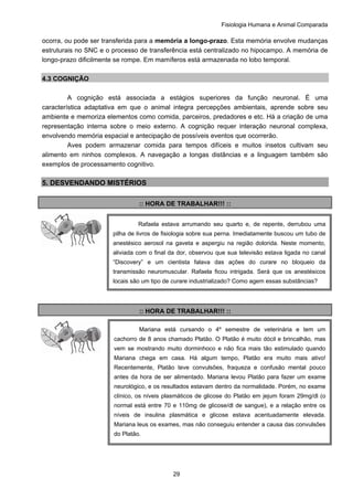 Fisiologia Humana e Animal Comparada
29
ocorra, ou pode ser transferida para a memória a longo-prazo. Esta memória envolve mudanças
estruturais no SNC e o processo de transferência está centralizado no hipocampo. A memória de
longo-prazo dificilmente se rompe. Em mamíferos está armazenada no lobo temporal.
4.3 COGNIÇÃO
A cognição está associada a estágios superiores da função neuronal. É uma
característica adaptativa em que o animal integra percepções ambientais, aprende sobre seu
ambiente e memoriza elementos como comida, parceiros, predadores e etc. Há a criação de uma
representação interna sobre o meio externo. A cognição requer interação neuronal complexa,
envolvendo memória espacial e antecipação de possíveis eventos que ocorrerão.
Aves podem armazenar comida para tempos difíceis e muitos insetos cultivam seu
alimento em ninhos complexos. A navegação a longas distâncias e a linguagem também são
exemplos de processamento cognitivo.
5. DESVENDANDO MISTÉRIOS
:: HORA DE TRABALHAR!!! ::
:: HORA DE TRABALHAR!!! ::
Rafaela estava arrumando seu quarto e, de repente, derrubou uma
pilha de livros de fisiologia sobre sua perna. Imediatamente buscou um tubo de
anestésico aerosol na gaveta e aspergiu na região dolorida. Neste momento,
aliviada com o final da dor, observou que sua televisão estava ligada no canal
“Discovery” e um cientista falava das ações do curare no bloqueio da
transmissão neuromuscular. Rafaela ficou intrigada. Será que os anestésicos
locais são um tipo de curare industrializado? Como agem essas substâncias?
Mariana está cursando o 4º semestre de veterinária e tem um
cachorro de 8 anos chamado Platão. O Platão é muito dócil e brincalhão, mas
vem se mostrando muito dorminhoco e não fica mais tão estimulado quando
Mariana chega em casa. Há algum tempo, Platão era muito mais ativo!
Recentemente, Platão teve convulsões, fraqueza e confusão mental pouco
antes da hora de ser alimentado. Mariana levou Platão para fazer um exame
neurológico, e os resultados estavam dentro da normalidade. Porém, no exame
clínico, os níveis plasmáticos de glicose do Platão em jejum foram 29mg/dl (o
normal está entre 70 e 110mg de glicose/dl de sangue), e a relação entre os
níveis de insulina plasmática e glicose estava acentuadamente elevada.
Mariana leus os exames, mas não conseguiu entender a causa das convulsões
do Platão.
 