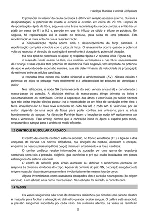 Fisiologia Humana e Animal Comparada
36
O potencial no interior da célula cardíaca é -90mV em relação ao meio externo. Durante a
despolarização, o potencial de inverte e excede o externo em cerca de 20 mV. Depois da
despolarização rápida da fibra, segue-se uma breve repolarização precoce parcial, e então há um
platô por cerca de 0,1 a 0,2 s, período em que há influxo de cálcio e efluxo de potássio. Em
seguida, há repolarização até o estado de repouso, pela saída de íons potassio. Esta
repolarização é mais lenta do que a despolarização.
A despolarização rápida ocorre com o desenvolvimento da força cardíaca. A
repolarização completa coincide com o pico da força. O relaxamento ocorre quando o potencial
volta ao repouso. A duração da contração é semelhante à duração do potencial de ação.
Há dois tipos de potenciais de ação: 1) resposta rápida e 2) reposta lenta (Figura 13)
A resposta rápida ocorre no átrio, nos miócitos ventriculares e nas fibras especializadas
de Purkinje. Essas células têm potencial de membrana mais negativo, têm amplitude do potencial
de ação e velocidade de ascensão maiores, que são determinantes da velocidade de propagação
do estímulo entre as células cardíacas.
A resposta lenta ocorre nos nodos sinoatrial e atrioventricular (AV). Nessas células o
potencial de ação se propaga mais lentamente e a probabilidade de bloqueio da condução é
maior.
Nos tetrápodes, o nodo SA (remanescente do seio venoso ancestral) é considerado o
marca-passo do coração. A atividade elétrica do marca-passo atinge primeiro os átrios e
secundariamente os ventrículos. Devido à separação dos átrios e ventrículos por tecido fibrosos
que não deixa impulso elétrico passar, há a necessidade de um feixe de condução entre eles: o
feixe atrioventricular. O feixe leva o impulso do nodo SA até o nodo AV. O ventrículo, por ser
maior, depende de uma rede de fibras para poder contrair em uníssono, para o eficaz
bombeamento do sangue. As fibras de Purkinje levam o impulso do nodo AV rapidamente por
todo o ventrículo. Esse arranjo permite que a contração inicie no ápice e espalhe pelo tecido,
empurrando o sangue para a artéria de modo eficiente.
1.3 CONTROLE MUSCULAR CARDÍACO
O centro de controle cardíaco está no encéfalo, no tronco encefálico (TE), e liga-se a dois
conjuntos de nervos. Os nervos simpáticos, que chegam da medula, aceleram o coração,
enquanto os nervos parassimpáticos (vago) diminuem o batimento e a força cardíaca.
O centro cardíaco recebe informações do coração por uma gama de receptores
sensoriais sensíveis a pressão, oxigênio, gás carbônico e pH que estão localizados em pontos
estratégicos do sistema vascular.
O centro de controle pode então aumentar ou diminuir o rendimento cardíaco em
resposta às diversas atividades do corpo. Apesar de controle do pelo SN, o coração miogênico (de
origem muscular) bate espontaneamente e involuntariamente mesmo fora do corpo.
Alguns invertebrados como crustáceos decápodes têm o coração neurogênico (de origem
nervosa), e um gânglio atua como marca-passo. Se o gânglio for retirado, o coração pára.
1.4 VASOS
Os vasos sanguíneos são tubos de diferentes tamanhos que contém uma parede elástica
e muscular para facilitar a alteração do diâmetro quando recebe sangue. O calibre está associado
à pressão sanguínea suportada por cada vaso. Em sistemas abertos, os vasos se ramificam
 