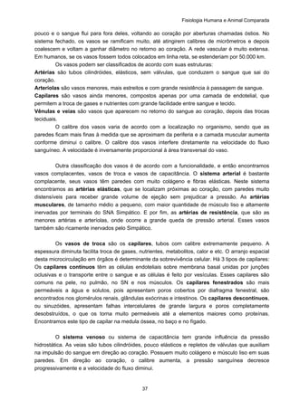 Fisiologia Humana e Animal Comparada
37
pouco e o sangue flui para fora deles, voltando ao coração por aberturas chamadas óstios. No
sistema fechado, os vasos se ramificam muito, até atingirem calibres de micrômetros e depois
coalescem e voltam a ganhar diâmetro no retorno ao coração. A rede vascular é muito extensa.
Em humanos, se os vasos fossem todos colocados em linha reta, se estenderiam por 50.000 km.
Os vasos podem ser classificados de acordo com suas estruturas:
Artérias são tubos cilindróides, elásticos, sem válvulas, que conduzem o sangue que sai do
coração.
Arteríolas são vasos menores, mais estreitos e com grande resistência à passagem de sangue.
Capilares são vasos ainda menores, compostos apenas por uma camada de endotelial, que
permitem a troca de gases e nutrientes com grande facilidade entre sangue e tecido.
Vênulas e veias são vasos que aparecem no retorno do sangue ao coração, depois das trocas
teciduais.
O calibre dos vasos varia de acordo com a localização no organismo, sendo que as
paredes ficam mais finas à medida que se aproximam da periferia e a camada muscular aumenta
conforme diminui o calibre. O calibre dos vasos interfere diretamente na velocidade do fluxo
sanguíneo. A velocidade é inversamente proporcional à área transversal do vaso.
Outra classificação dos vasos é de acordo com a funcionalidade, e então encontramos
vasos complacentes, vasos de troca e vasos de capacitância. O sistema arterial é bastante
complacente, seus vasos têm paredes com muito colágeno e fibras elásticas. Neste sistema
encontramos as artérias elásticas, que se localizam próximas ao coração, com paredes muito
distensíveis para receber grande volume de ejeção sem prejudicar a pressão. As artérias
musculares, de tamanho médio a pequeno, com maior quantidade de músculo liso e altamente
inervadas por terminais do SNA Simpático. E por fim, as artérias de resistência, que são as
menores artérias e arteríolas, onde ocorre a grande queda de pressão arterial. Esses vasos
também são ricamente inervados pelo Simpático.
Os vasos de troca são os capilares, tubos com calibre extremamente pequeno. A
espessura diminuta facilita troca de gases, nutrientes, metabolitos, calor e etc. O arranjo espacial
desta microcirculação em órgãos é determinante da sobrevivência celular. Há 3 tipos de capilares:
Os capilares contínuos têm as células endoteliais sobre membrana basal unidas por junções
oclusivas e o transporte entre o sangue e as células é feito por vesículas. Esses capilares são
comuns na pele, no pulmão, no SN e nos músculos. Os capilares fenestrados são mais
permeáveis a água e solutos, pois apresentam poros cobertos por diafragma fenestral, são
encontrados nos glomérulos renais, glândulas exócrinas e intestinos. Os capilares descontínuos,
ou sinuzóides, apresentam falhas intercelulares de grande largura e poros completamente
desobstruídos, o que os torna muito permeáveis até a elementos maiores como proteínas.
Encontramos este tipo de capilar na medula óssea, no baço e no fígado.
O sistema venoso ou sistema de capacitância tem grande influência da pressão
hidrostática. As veias são tubos cilindróides, pouco elásticos e repletos de válvulas que auxiliam
na impulsão do sangue em direção ao coração. Possuem muito colágeno e músculo liso em suas
paredes. Em direção ao coração, o calibre aumenta, a pressão sanguínea decresce
progressivamente e a velocidade do fluxo diminui.
 