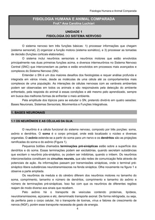 Fisiologia Humana e Animal Comparada
4
FISIOLOGIA HUMANA E ANIMAL COMPARADA
Frof.ª Ana Carolina Luchiari
UNIDADE 1
FISIOLOGIA DO SISTEMA NERVOSO
O sistema nervoso tem três funções básicas: 1) processar informações que chegam
(sistema sensorial), 2) organizar a função motora (sistema somático), e 3) processar as tomadas
de decisão (funções corticais elaboradas).
O sistema inclui neurônios sensoriais e neurônios motores que estão envolvidos
principalmente nas duas primeiras funções acima, e diversos interneurônios no Sistema Nervoso
Central (SNC) que interconectam as partes e estão envolvidos em processos mais avançados e
complexos do Sistema Nervoso (SN).
Entender o SN é um dos maiores desafios dos fisiologistas e requer análise profunda e
integrada em vários níveis, desde as moléculas de uma célula até os comportamentos mais
complexos de uma população. As interações de células nervosas com as variáveis ambientais
podem ser observadas em todos os animais e são responsáveis pela detecção do ambiente
enfrentado, pela resposta do animal à essas condições e até mesmo pelo aprendizado, sempre
em busca das melhores formas de enfrentar o meio ambiente.
Pela amplitude dos tópicos para se estudar o SN, pretendo dividi-lo em quatro sessões:
Bases Neuronais, Sistemas Sensoriais, Movimentos e Funções Integrativas.
1. BASES NEURONAIS
1.1 OS NEURÔNIOS E AS CÉLULAS DA GLIA
O neurônio é a célula funcional do sistema nervoso, composto por três porções: soma,
axônio e dendritos. O soma é o corpo principal, onde está localizado o núcleo e diversas
organelas. O axônio estende-se a partir do soma para um nervo e os dendritos são as projeções
ramificadas do soma e do axônio (Figura 1).
Pequenos botões chamados terminações pré-sinápticas estão sobre a superfície dos
dendritos e do soma. Essas terminações podem ser excitatórias, quando secretam substâncias
que excitam o neurônio pós-sináptico, ou podem ser inibitórias, quando o inibem. Os neurônios
interconectados constituem os circuitos neurais, que são redes de comunicação feita através de
potenciais de ação. As informações passam por transmissões sinápticas, onde o terminal pré-
sináptico libera substâncias neurotransmissoras na fenda sináptica. Olhe novamente na figura 1 e
observe a parte ampliada.
Os neurônios da medula e do cérebro diferem dos neurônios motores no tamanho do
soma, comprimento, tamanho e número de dendritos, comprimento e tamanho do axônio e
número de terminações pré-sinápticas. Isso faz com que os neurônios de diferentes regiões
reajam de modo diverso aos sinais que recebem.
Pelo axônio há o transporte de vesículas contendo proteínas, lipídeos,
neurotransmissores, açúcares e etc, denominado transporte axonal. De forma retrógrada, ou seja,
da periferia para o corpo celular, há o transporte de toxinas, vírus e fatores de crescimento de
nervos (NGF), porém esse transporte necessita de gasto de energia.
 