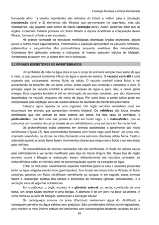 Fisiologia Humana e Animal Comparada
64
transporte ativo: 1) solutos importantes são retirados do túbulo e voltam para a circulação
(reabsorção ativa) e 2) elementos não filtrados que permanecem no organismo, mas são
indesejáveis, são jogados para dentro do túbulo (secreção ativa). Assim, podemos dizer que os
órgãos excretores formam primeiro um fluido filtrado e depois modificam a composição desse
filtrado, formando o fluido a ser excretado.
Há grande variedade de estruturas morfológicas chamadas órgãos excretores, alguns
pouco e outros muito especializados. Protozoários e esponjas apresentam os vacúolos contráteis,
platelmintos e asquelmintos têm protonefrídeos enquanto anelídeos têm metanefrídeos.
Crustáceos têm glândulas antenais e brânquias, já insetos possuem túbulos de Malpighi.
Vertebrados possuem rins, e peixes têm rins e brânquias.
2.2 ÓRGÃOS EXCRETORES DE INVERTEBRADOS
Um problema da vida na água doce é que o corpo do animal é sempre mais salino do que
o meio, o que provoca constante influxo de água e perda de solutos. O vacúolo contrátil é uma
organela que, ciclicamente, elimina fluido da célula. O vacúolo contrátil coleta fluido e vai
aumentando de tamanho até um ponto crítico, então expele seu conteúdo e recomeça o ciclo. O
principal papel do vacúolo contrátil é eliminar excesso de água e, para isso, a célula gasta
energia. Esta organela também é útil na eliminação de excretas celulares, que são ativamente
depositadas no vacúolo enquanto ele incha de água. Por outro lado, a perda salina pode ser
compensada pela captação ativa de solutos através de atividade da membrana plasmática.
Falamos agora apenas de uma organela. Um órgão excretor verdadeiro pode ser
encontrado em animais que apresentam simetria bilateral. Os nefrídeos são tubos simples
ramificados que têm acesso ao meio externo por poros. Há dois tipos de nefrídeos: o
protonefrídeo, que têm uma das pontas do tubo em fundo cego, e o metanefrídeo, que se
comunica com o interior do corpo através de um nefridióstomo, uma estrutura em forma de funil.
Os protonefrídeos estão presentes em animais acelomados e geralmente são muito
ramificados (Figura 27). Nas extremidades fechadas com fundo cego pode haver um único cílio,
chamado solenócito, ou dúzias de cílios formando uma estrutura chamada célula flama. Tanto o
solenócito quanto a célula flama fazem movimentos ciliares que empurram o fluido a ser excretado
pelo nefrídeo.
Os metanefrídeos de animais celomados não são ramificados. O fluido do celoma escoa
pelo nefridióstomo e vai sendo modificado pela alça do túbulo (Figura 28). Nesse tipo de órgão
excretor ocorre a filtração e reabsorção. Assim, diferentemente dos vacúolos contráteis, os
metanefrídeos estão envolvidos tanto na osmorregulação quanto na excreção de água.
Entre os moluscos, encontramos espécies marinhas (polvo e lula) e espécies presentes
tanto na água salgada quanto doce (gastrópodes). Sua função excretora inclui a filtração do fluido
corpóreo, gerando um fluido ultrafiltrado semelhante ao sangue, e em seguida esses animais
fazem a reabsorção seletiva dos solutos e elementos de interesse (glicose, aminoácidos), e a
secreção ativa de algumas substâncias.
Em crustáceos, o órgão excretor é a glândula antenal, ou verde, constituída de uma
bolsa, um longo túbulo excretor e uma bexiga. A abertura é de um poro na base da antena. A
urina forma-se a partir da filtração, reabsorção e secreção tubular.
Os caranguejos comuns da praia (Carcinus) reabsorvem água do ultrafiltrado e
conseguem penetrar na água salobra sem prejuízos. São considerados ótimos osmorreguladores,
pois mantém o meio interno estável em ambientes com concentrações bastante variadas de sal e
 