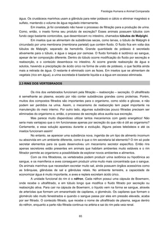 Fisiologia Humana e Animal Comparada
65
água. Os crustáceos marinhos usam a glândula para reter potássio e cálcio e eliminar magnésio e
sulfato, mantendo o volume de água regulado internamente.
Em insetos, já foi constatado não haver o processo de filtração para a produção de urina.
Como, então, o inseto forma seu produto de excreção? Esses animais possuem túbulos com
fundo cego bastante contorcidos, que desembocam no intestino, chamados túbulos de Malpighi.
Em insetos que se alimentam de substâncias secas, como larvas, o túbulo de Malpighi é
circundado por uma membrana (membrana parietal) que contém fluido. O fluido fica em volta dos
túbulos de Malpighi, separado da hemolinfa. Grande quantidade de potássio é secretado
ativamente para o túbulo, e água o segue por osmose. O fluido formado é isotônico ao sangue,
apesar de ter composição diferente. Dentro do túbulo ocorre modificação do fluido por secreção e
reabsorção, e o conteúdo desemboca no intestino. Ai ocorre grande reabsorção de água e
solutos, havendo a precipitação de ácido úrico na forma de urato de potássio, o que facilita ainda
mais a retirada de água. O restante é eliminado com as fezes. Em insetos que se alimentam de
vegetais (rico em água), a urina excretada é bastante liquida e a água em excesso eliminada.
2.3 RINS DOS VERTEBRADOS
Os rins dos vertebrados funcionam pela filtração – reabsorção – secreção. O ultrafiltrado
é semelhante ao plasma, exceto por não conter substâncias grandes como proteínas. Porém,
muitos dos compostos filtrados são importantes para o organismo, como sódio e glicose, e não
podem ser perdidos na urina. Assim, o mecanismo de reabsorção tem papel importante na
manutenção do meio interno. Por outro lado, algumas substâncias pouco filtradas precisam ser
eliminadas do organismo e, então, o processo de secreção ativa auxilia sua excreção.
Mas parece muito dispendioso utilizar tantos mecanismos com gasto energético! Não
seria mais vantajoso que o rim funcionasse apenas por secreção do que não é útil ao organismo?
Certamente, e essa solução apareceu durante a evolução. Alguns peixes teleósteos e até os
insetos funcionam assim!
No entanto, se aparecer uma substância nova, ingerida de um tipo de alimento incomum
ou absorvida em um ambiente diferente, como é que o rim secretaria tal elemento? O rim só pode
secretar elementos para os quais desenvolveu um mecanismo secretor específico. Então rins
apenas secretores estão presentes em animais que habitam ambientes muito estáveis e o rim
filtrador permite ao organismo a possibilidade de explorar novos ambientes e alimentos.
Com os rins filtradores, os vertebrados podem produzir urina isotônica ou hipotônica ao
sangue, e os mamíferos e aves conseguem produzir urina muito mais concentrada que o sangue.
Os animais marinhos que necessitam excretar muito sal, ainda possuem órgãos acessórios como
as brânquias, glândulas de sal e glândulas retais. No ambiente terrestre, a capacidade de
economizar água é muito importante, e aves e repteis excretam ácido úrico.
A unidade funcional do rim é o néfron. Cada néfron possui uma cápsula de Bowmann,
onde recebe o ultrafiltrado, e em túbulo longo que modifica o fluido filtrado por secreção ou
reabsorção ativa. Para cair na cápsula de Bowmann, o líquido vem na forma se sangue, através
de arteríolas que formam um emaranhado de capilares, o glomérulo. Os capilares que formam o
glomérulo são muito fenestrados e quando o sangue passa por eles em pressão elevada, acaba
por ser filtrado. O conteúdo filtrado, que recebe o nome de ultrafiltrado de plasma, segue dentro
do néfron, enquanto a parte não filtrada continua na artéria e sai do rim pela veia renal.
 