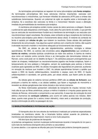 Fisiologia Humana e Animal Comparada
5
As terminações pré-sinápticas se separam do soma pós-sináptico pela fenda sináptica.
As terminações pré-sinápticas têm duas estruturas internas importantes: vesículas com
neurotransmissor e mitocôndrias, que fornecem trifosfato de adenosina (ATP) para a síntese das
substâncias transmissoras. Quando um potencial de ação se espalha sobre a terminação pré-
sináptica, há a exocitose das vesículas na fenda e o transmissor liberado causa a alteração
imediata da permeabilidade da membrana pós-sináptica.
A membrana pré-sináptica contém muitos canais de cálcio sensíveis a voltagem. Quando
o potencial de ação despolariza a terminação, muito cálcio flui para dentro do botão, o que permite
que as vesículas de neurotransmissor fundam-se à membrana da terminação e as vesículas com
neurotransmissor sejam exocitadas. Na sinapse, esse conteúdo se liga a receptores de membrana
no neurônio pós-sináptico para alterar o funcionamento dessa célula. O restante do conteúdo da
fenda é captado por células da glia, que rodeiam os neurônios. Essas células não participam
diretamente da comunicação, mas algumas suprem axônios com a bainha de mielina, dão suporte
à atividade neuronal e mantém o microclima adequado ao funcionamento das sinapses.
No SNC, as células da glia são oligodendrócitos, astrócitos, micróglia e células
ependimárias. No SNC, os axônios são envolvidos pelos oligodendrócitos que constituem a
bainha de mielina, camadas lipídicas concêntricas ao redor dos axônios. A bainha de mielina
atua como um isolante contra corrente iônica e as interrupções são denominadas nódulos de
Ranvier, como você pode ver no detalhe da figura 1. Os astrócitos possuem prolongamentos que
isolam as sinapses, metabolizam os neurotransmissores jogados nas fendas sinápticas, fazem o
tamponamento de íons potássio e hidrogênio, servem de sustentação para axônios e formam
cicatrizes após agressões ao SNC. As células microgliais são fagocitárias em potencial, auxiliando
na remoção de resíduos que invadem o SNC. As células ependimárias formam o epitélio que
separa o SNC do liquido cefalorraquidiano, revestindo o espaço vazio do SNC. O liquido
cefalorraquidiano é secretado, em grande parte, por essas células, que fazem parte do plexo
coróide.
As células gliais do sistema nervoso periférico (SNP) são as células de Schwann, que
produzem a bainha de mielina, e as células satélites, que fazem a regulação do microclima e
revestem as células ganglionares das raízes dorsais e dos nervos cranianos.
As fibras mielinizadas apresentam velocidade de transporte do impulso nervoso muito
mais alta do que as fibras amielínicas, porque a mielina é isolante e o impulso passa apenas nos
nódulos de Ranvier, diminuindo o comprimento a ser percorrido. A esse tipo de condução de sinal
elétrico chamamos de condução saltatória, pois ocorre em saltos apenas nos nódulos. Além
disso, quanto mais grosso for o axônio (maior diâmetro), maior será a velocidade de condução,
devido à diminuição do atrito na passagem de íons.
1.2 BIOELETROGÊNESE E POTENCIAS DE AÇÃO
O transporte ativo de íons através da membrana é realizado por proteínas especializadas
localizadas na membrana celular. Se a bicamada lipídica estiver ausente de proteínas, a
membrana será altamente impermeável, mesmo a íons muito pequenos.
Há dois tipos de proteínas de transporte:
a) proteínas carregadoras: ocorrem mudanças conformacionais durante o transporte do íon para o
outro lado da membrana (transporte ativo primário ou secundário)
b) canais abertos: o íon apenas se difunde pelo poro formado pela proteína (transporte passivo)
 