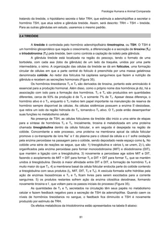 Fisiologia Humana e Animal Comparada
81
tratando da tireóide, o hipotálamo secreta o fator TRH, que estimula a adenohipófise a secretar o
hormônio TSH, que atua sobre a glândula tireóide. Assim, será descrito: TRH – TSH – tireóide.
Para as outras glândulas em estudo, usaremos o mesmo padrão.
2.4 TIREÓIDE
A tireóide é controlada pelo hormônio adenohipofisário tireotropina, ou TSH. O TSH é
um hormônio glicoprotéico que regula o crescimento, a diferenciação e a secreção de tiroxina (T4)
e triiodotironina (T3) pela tireóide, bem como controla a captação de iodeto pela glândula.
A glândula tireóide está localizada na região do pescoço, tendo o formato de uma
borboleta, com cada asa (lobo da glândula) de um lado da traquéia, unidos por uma parte
intermediária, o istmo. A organização das células da tireóide se dá em folículos, uma formação
circular de células em que a parte central do folículo é preenchida por uma massa gelatinosa
denominada colóide. Ao redor dos folículos há capilares sanguíneos que fazem a nutrição da
glândula e recebem as secreções hormonais (Figura 35).
Os hormônios tireoidianos T3 e T4 são derivados de tirosina, portanto este aminoácido é
essencial para a produção hormonal. Além disso, como o próprio nome dos hormônios já diz, há a
associação com iodo para a formação dos hormônios. T3 e T4 são produzidos em quantidades
diferentes, cerca de 93% da produção é de T4 e somente 7% de T3. Apesar dessa diferença, o
hormônio ativo é o T3, enquanto o T4 inativo tem papel importante na manutenção de reserva de
hormônio sempre disponível às células. As células sistêmicas possuem a enzima 5’-desiodase,
que retira um iodo da região hidroxila do T4, tornando-o T3 ativo. O T3 pode então desempenhar
suas funções no metabolismo celular.
Na presença de TSH, as células foliculares da tireóide dão inicio a uma série de etapas
para a síntese de hormônios T3 e T4. Inicialmente, tirosina é metabolizada em uma proteína
chamada tireoglobulina dentro da célula folicular, e em seguida é despejada na região de
colóide. Concomitante a este processo, uma proteína na membrana apical da célula folicular
promove o co-transporte de íons Na+
e I-
do plasma para o citosol da célula e o I-
sofre oxidação
pela enzima peroxidase na passagem para o colóide, sendo depositado neste espaço como I2. No
colóide uma série de reações se segue, que são: 1) tireoglobulina e vários I2 se unem, 2) I2 são
organificados pela enzima peroxidase para formar monoiodotirosina (MIT) e diiodotirosina (DIT),
que mantém a ligação com a tireoglobulina, 3) novamente a peroxidase age sobre MIT e DIT,
fazendo o acoplamento de MIT + DIT para formar T3 e DIT + DIT para formar T4, que se mantém
unidos à tireoglobulina. Devido à maior afinidade entre DIT e DIT, a formação de hormônio T4 é
muito maior do que T3. 4) a membrana basal da célula folicular endocita parte do colóide contendo
a tireoglobulina com seus produtos (I2, MIT, DIT, T3 e T4). A vesícula formada sofre hidrólise pela
ação de enzimas lisossômicas e T3 e T4 ficam livres para serem exocitados para a corrente
sanguínea. 5) os produtos restantes sofrem ação da enzima citosólica deiodinase, formando
novamente tirosina e I-
, que voltam para os passos iniciais do processo (Figura 35).
As quantidades de T3 e T4 secretados na circulação têm seus papéis no metabolismo
celular e fazem feedback negativo para a secreção de TSH da adenohipófise. Quando caem os
níveis de hormônios tireoidianos no sangue, o feedback fica diminuído e TSH é novamente
produzido por estímulo de TRH.
Os efeitos metabólicos da triiodotironina estão apresentados na tabela 9 abaixo:
 
