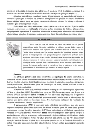 Fisiologia Humana e Animal Comparada
92
promovem a liberação de insulina pelo pâncreas. A queda no nível de glicose no sangue é o
estímulo para encerrar a secreção de insulina e iniciar a secreção de glucagon (Figura 42).
A insulina age sobre os receptores ligados à tirosinacinase em quase todos os tecidos e
promove a produção e inserção de proteínas carregadoras de glicose (GLUT) na membrana
dessas células, assim, torna as células capazes de absorver glicose. No citosol, a glicose é
oxidada e gera energia para as células.
O glucagon, bem como adrenalina e cortisol, age sobre o tecido adiposo, fígado e tecido
muscular, promovendo a mobilização energética pelos processos de lipólise, glicogenólise,
neoglicogênese e proteólise. É importante lembrar que a secreção de adrenalina e cortisol estão
relacionadas a situações de estresse, ou seja, exercício físico, danos teciduais, ou mesmo jejum.
FIQUE LIGADO!!
Calcemia
As glândulas paratireóides estão envolvidas na regulação de cálcio plasmático. É
importante manter o nível de cálcio relativamente estável no plasma porque este íon participa de
diversas funções celulares, da condução nervosa, exocitose de vesículas, coagulação sanguínea,
contração muscular, além de fazer parte na constituição de ossos, dentes, conchas, corais e
exoesqueleto de invertebrados.
As formas de cálcio que podemos encontrar no sangue são: o cálcio ligado a proteínas
(40%) e o cálcio livre (60%). Do cálcio livre, cerca de 10% forma complexos com ânions e o
restante (50%) é considerado cálcio ionizado. Os íons cálcio são adquiridos para o organismo
principalmente através da absorção pelo TGI ou por reabsorção renal e óssea, e são retirados do
plasmas por perda renal ou deposição óssea. Três hormônios participam da regulação da
calcemia: paratormônio, calcitriol e calcitonina.
O paratormônio (PTH) é secretado pelas glândulas paratireóides, que são quatro
pequenos conjuntos glandulares localizados em meios à tireóide (dois em cada lobo), quando
ocorre queda no nível de cálcio plasmático. O PTH age estimulando a atividade de osteoclastos
no tecido ósseo, provocando a reabsorção óssea e disponibilização de cálcio para o sangue, e
age também nos néfrons, acarretando maios reabsorção de íons cálcio do ultrafiltrado no túbulo
distal e menor reabsorção de fosfato no túbulo proximal. Esta última ação do PTH causa maior
excreção renal de fosfato, o que é importante para que não ocorra acúmulo de íons cálcio e
fosfato livres, pois esses dois íons têm alta afinidade e formam cristais que precipitam gerando
cálculos.
Você sabe por que as células do corpo não fazem uso da glicose
disponibilizada pelos hormônios catabólicos e utilizam apenas ácidos graxos e
aminoácidos, deixando toda a glicose para o cérebro? Por que as células são tão
“gentis” com o tecido nervoso? Na verdade, elas não são “boazinhas” e deixam toda a
glicose da neoglicogênese e da glicogenólise porque simplesmente preferem outros
substratos nutricionais. O fato é que a glicose só pode ser utilizada pela maioria das
células em presença de insulina, e apenas o tecido nervoso (retina e eritrócitos também)
consegue utilizar a glicose sem a necessidade do auxilio insulínico. Desta forma, a
quebra de reservas pode manter a nutrição de todo o organismo e dar atenção
principalmente ao tecido nervoso que necessita de nutrição especial.
 