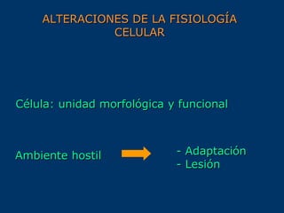 ALTERACIONES DE LA FISIOLOGÍAALTERACIONES DE LA FISIOLOGÍA
CELULARCELULAR
- Adaptación- Adaptación
- Lesión- Lesión
Ambiente hostilAmbiente hostil
Célula: unidad morfológica y funcionalCélula: unidad morfológica y funcional
 