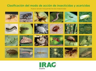 Clasificación del modo de acción de insecticidas y acaricidas
Nueva versión incluyendo los bio-insecticidas
 