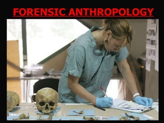 FORENSIC ANTHROPOLOGY WHAT IS IT? WHAT DOES A FORENSIC ANTHROPOLOGIST DO? HOW DOES ONE BECOME A FORENSIC ANTHROPOLOGIST? 