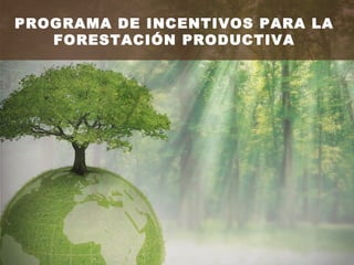 PROGRAMA DE INCENTIVOS PARA LA
   FORESTACIÓN PRODUCTIVA
 