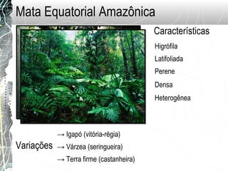 Mata Equatorial Amazônica
Higrófila
Latifoliada
Características
Perene
Densa
Heterogênea
Variações
→ Igapó (vitória-régia)
→ Várzea (seringueira)
→ Terra firme (castanheira)