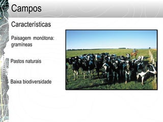 Campos
Paisagem monótona:
gramíneas
Pastos naturais
Características
Baixa biodiversidade