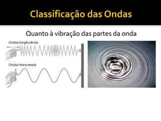 Quanto à vibração das partes da onda 
 