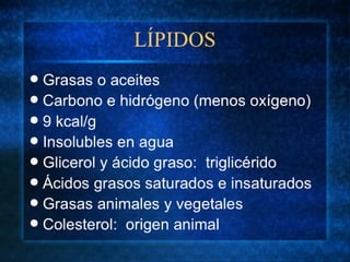 1 Fundamentos de Nutrición