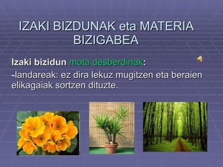 IZAKI BIZDUNAK eta MATERIA BIZIGABEA <ul><li>Izaki bizidun  mota desberdinak : </li></ul><ul><li>landareak: ez dira lekuz ...
