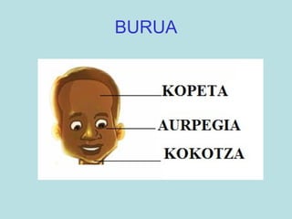 BURUA 