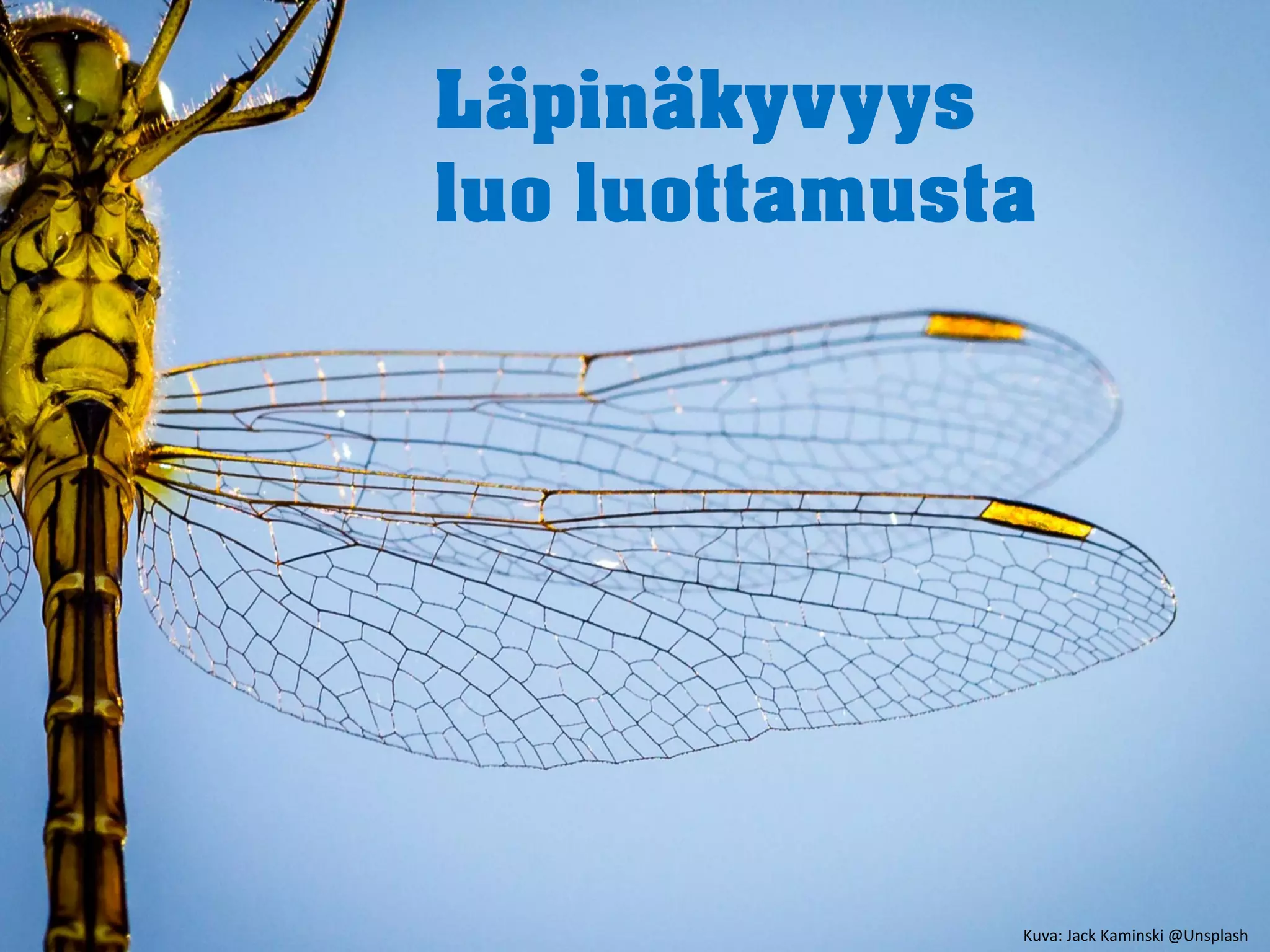 Läpinäkyvyys
luo luottamusta
Kuva: Jack Kaminski @Unsplash
 