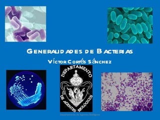 Generalidades de Bacterias Víctor Cortés Sánchez Departamento de Agentes Biológicos 