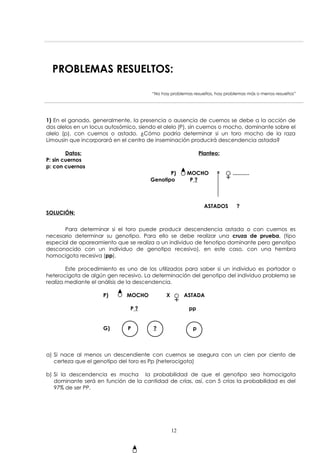 PROBLEMAS RESUELTOS: 
“No hay problemas resueltos, hay problemas más o menos resueltos” 
1) En el ganado, generalmente, la presencia o ausencia de cuernos se debe a la acción de 
dos alelos en un locus autosómico, siendo el alelo (P), sin cuernos o mocho, dominante sobre el 
alelo (p), con cuernos o astado. ¿Cómo podría determinar si un toro mocho de la raza 
Limousin que incorporará en el centro de inseminación producirá descendencia astada? 
Datos: Planteo: 
P: sin cuernos 
p: con cuernos 
P) MOCHO ........... 
Genotipo P ? 
ASTADOS ? 
SOLUCIÓN: 
Para determinar si el toro puede producir descendencia astada o con cuernos es 
necesario determinar su genotipo. Para ello se debe realizar una cruza de prueba, (tipo 
especial de apareamiento que se realiza a un individuo de fenotipo dominante pero genotipo 
desconocido con un individuo de genotipo recesivo), en este caso, con una hembra 
homocigota recesiva (pp). 
Este procedimiento es uno de los utilizados para saber si un individuo es portador o 
heterocigota de algún gen recesivo. La determinación del genotipo del individuo problema se 
realiza mediante el análisis de la descendencia. 
P) MOCHO X ASTADA 
P ? pp 
G) P ? p 
a) Si nace al menos un descendiente con cuernos se asegura con un cien por ciento de 
certeza que el genotipo del toro es Pp (heterocigota) 
b) Si la descendencia es mocha la probabilidad de que el genotipo sea homocigota 
dominante será en función de la cantidad de crías, así, con 5 crías la probabilidad es del 
97% de ser PP. 
12 
 