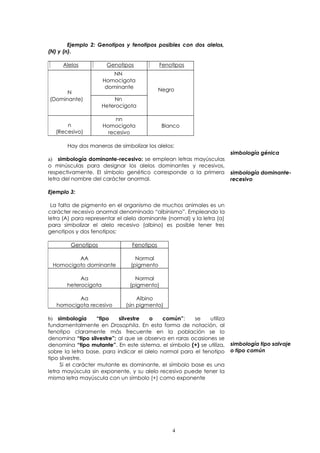 Ejemplo 2: Genotipos y fenotipos posibles con dos alelos, 
(N) y (n). 
Alelos Genotipos Fenotipos 
N 
NN 
Homocigota 
dominante Negro 
(Dominante) Nn 
Heterocigota 
n 
(Recesivo) 
nn 
Homocigota 
recesivo 
Blanco 
Hay dos maneras de simbolizar los alelos: 
a) simbología dominante-recesivo: se emplean letras mayúsculas 
o minúsculas para designar los alelos dominantes y recesivos, 
respectivamente. El símbolo genético corresponde a la primera 
letra del nombre del carácter anormal. 
Ejemplo 3: 
La falta de pigmento en el organismo de muchos animales es un 
carácter recesivo anormal denominado “albinismo”. Empleando la 
letra (A) para representar el alelo dominante (normal) y la letra (a) 
para simbolizar el alelo recesivo (albino) es posible tener tres 
genotipos y dos fenotipos: 
Genotipos Fenotipos 
AA 
Homocigoto dominante 
Normal 
(pigmento 
Aa 
heterocigota 
Normal 
(pigmento) 
Aa 
homocigota recesivo 
Albino 
(sin pigmento) 
b) simbología “tipo silvestre o común”: se utiliza 
fundamentalmente en Drosophila. En esta forma de notación, al 
fenotipo claramente más frecuente en la población se lo 
denomina “tipo silvestre”; al que se observa en raras ocasiones se 
denomina “tipo mutante”. En este sistema, el símbolo (+) se utiliza, 
sobre la letra base, para indicar el alelo normal para el fenotipo 
tipo silvestre. 
Si el carácter mutante es dominante, el símbolo base es una 
letra mayúscula sin exponente, y su alelo recesivo puede tener la 
misma letra mayúscula con un símbolo (+) como exponente 
simbología génica 
simbología dominante-recesivo 
simbología tipo salvaje 
o tipo común 
4 
 