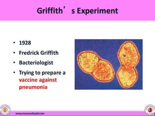 • 1928
• Fredrick Griffith
• Bacteriologist
• Trying to prepare a
vaccine against
pneumonia
 