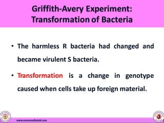 • The harmless R bacteria had changed and
became virulent S bacteria.
• Transformation is a change in genotype
caused when cells take up foreign material.
 