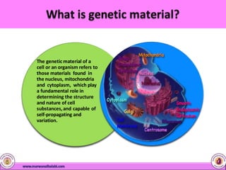 The genetic material of a
cell or an organism refers to
those materials found in
the nucleus, mitochondria
and cytoplasm, which play
a fundamental role in
determining the structure
and nature of cell
substances,and capable of
self-propagating and
variation.
 