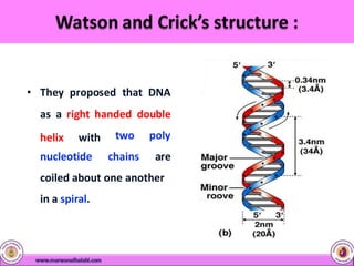 • They proposed that DNA
as a right handed double
helix with two poly
nucleotide chains are
coiled about one another
in a spiral.
 