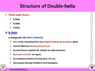  Three major forms:
 B-DNA
 A-DNA
 Z-DNA
 B-DNA
is biologically THE MOST COMMON
 It is a helix meaning thatit has a Right handed, or clockwise, spiral.
 Ideal B-DNA has10 base pair per turn
 So each base is twisted 36o relative to adjacentbases.
 Base pair are 0.34 nm apart.
 So completerotation of moleculeis 3.4 nm.
 Axis passes through middleof each basepairs.
 