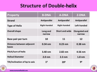 Property B-DNA A-DNA Z-DNA
Strand Antiparallel Antiparallel Antiparallel
Type of Helix Right-handed Right-handed Left-handed
Overall shape Long and
narrow
Short and wide Elongated and
narrow
Base pair per turn 10 11 12
Distance between adjacent
bases
0.34 nm 0.23 nm 0.38 nm
Pitch/turn of helix 3.40 nm 2.82 nm 4.56 nm
Helical Diameter 2.0 nm 2.3 nm 1.8 nm
Tilt/inclination of bp to axis 10 200 90
 