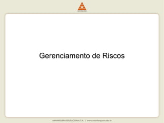 Gerenciamento de Riscos
 