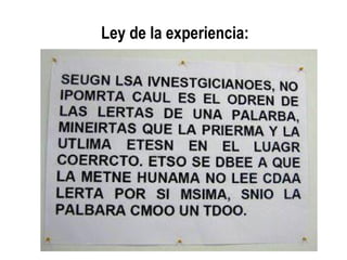 Ley de la experiencia:
 