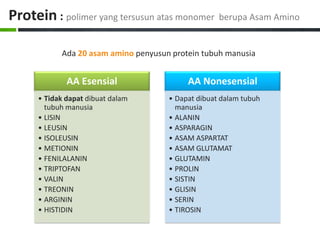 Protein : polimer yang tersusun atas monomer berupa Asam Amino

            Ada 20 asam amino penyusun protein tubuh manusia


              AA Esensial                  AA Nonesensial
      • Tidak dapat dibuat dalam      • Dapat dibuat dalam tubuh
        tubuh manusia                   manusia
      • LISIN                         • ALANIN
      • LEUSIN                        • ASPARAGIN
      • ISOLEUSIN                     • ASAM ASPARTAT
      • METIONIN                      • ASAM GLUTAMAT
      • FENILALANIN                   • GLUTAMIN
      • TRIPTOFAN                     • PROLIN
      • VALIN                         • SISTIN
      • TREONIN                       • GLISIN
      • ARGININ                       • SERIN
      • HISTIDIN                      • TIROSIN
 