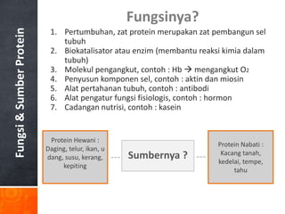 Fungsi & Sumber Protein                            Fungsinya?
                           1. Pertumbuhan, zat protein merupakan zat pembangun sel
                              tubuh
                           2. Biokatalisator atau enzim (membantu reaksi kimia dalam
                              tubuh)
                           3. Molekul pengangkut, contoh : Hb  mengangkut O2
                           4. Penyusun komponen sel, contoh : aktin dan miosin
                           5. Alat pertahanan tubuh, contoh : antibodi
                           6. Alat pengatur fungsi fisiologis, contoh : hormon
                           7. Cadangan nutrisi, contoh : kasein


                           Protein Hewani :
                                                                       Protein Nabati :
                          Daging, telur, ikan, u
                                                   Sumbernya ?          Kacang tanah,
                          dang, susu, kerang,
                                                                       kedelai, tempe,
                               kepiting
                                                                            tahu
 