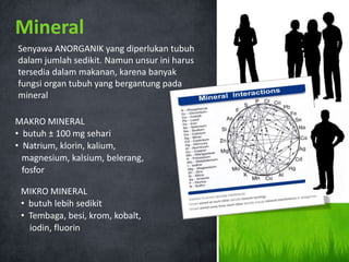 Mineral
Senyawa ANORGANIK yang diperlukan tubuh
dalam jumlah sedikit. Namun unsur ini harus
tersedia dalam makanan, karena banyak
fungsi organ tubuh yang bergantung pada
mineral

MAKRO MINERAL
• butuh ± 100 mg sehari
• Natrium, klorin, kalium,
  magnesium, kalsium, belerang,
  fosfor

 MIKRO MINERAL
 • butuh lebih sedikit
 • Tembaga, besi, krom, kobalt,
   iodin, fluorin
 