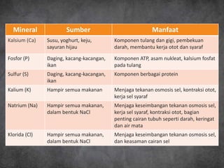 Mineral              Sumber                             Manfaat
Kalsium (Ca)   Susu, yoghurt, keju,       Komponen tulang dan gigi, pembekuan
               sayuran hijau              darah, membantu kerja otot dan syaraf

Fosfor (P)     Daging, kacang-kacangan,   Komponen ATP, asam nukleat, kalsium fosfat
               ikan                       pada tulang
Sulfur (S)     Daging, kacang-kacangan,   Komponen berbagai protein
               ikan
Kalium (K)     Hampir semua makanan       Menjaga tekanan osmosis sel, kontraksi otot,
                                          kerja sel syaraf
Natrium (Na)   Hampir semua makanan,      Menjaga keseimbangan tekanan osmosis sel,
               dalam bentuk NaCl          kerja sel syaraf, kontraksi otot, bagian
                                          penting cairan tubuh seperti darah, keringat
                                          dan air mata
Klorida (Cl)   Hampir semua makanan,      Menjaga keseimbangan tekanan osmosis sel,
               dalam bentuk NaCl          dan keasaman cairan sel
 