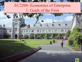 EC2204- Economics of Enterprise
     1: Goals of the Firm
 