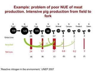 Example: problem of poor NUE of meat
production. Intensive pig production from field to
fork
‘Reactive nitrogen in the environment.’ UNEP 2007
 