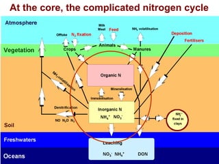 At the core, the complicated nitrogen cycle
 
