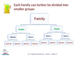 Each Family can further be divided into
smaller groups
Gr 7 Natural Sciences - Term 1, Topic 2
Family
Order
Genus
Species Species
Genus
Species Species
Order
Genus
Species Species
Genus
Species Species
 